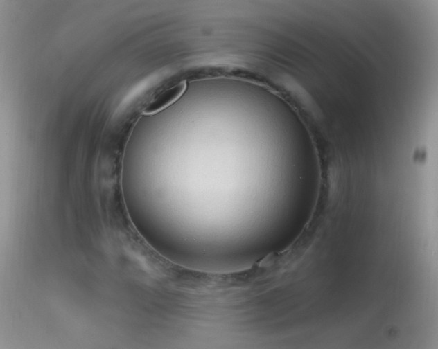 X0000114631064200910201415