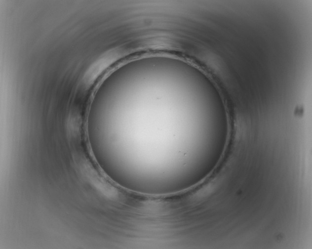 X0000114631065200910201415