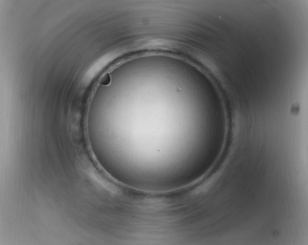 X0000114631066200910201415