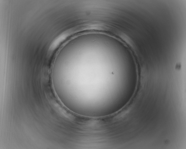 X0000114631067200910201415