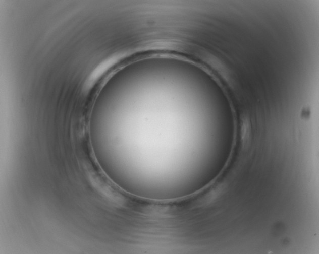 X0000114631069200910201415