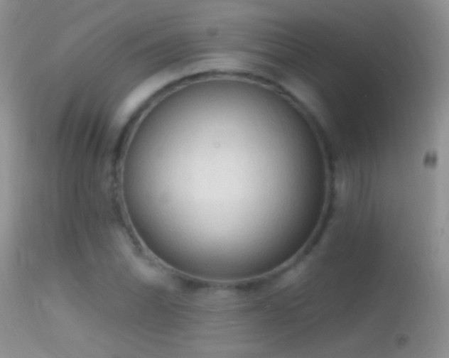 X0000114631070200910201415