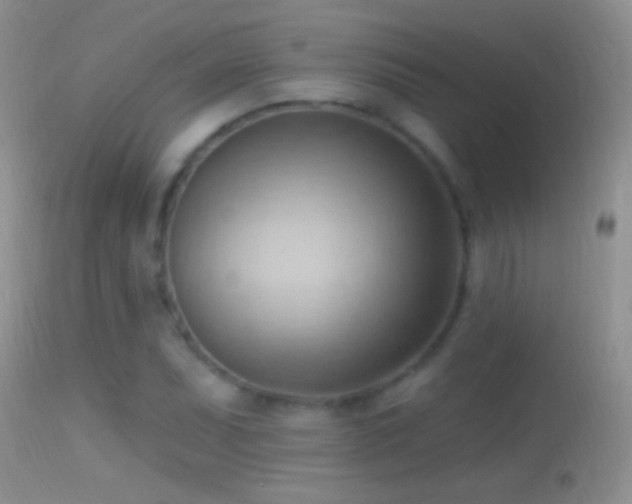 X0000114631071200910201415