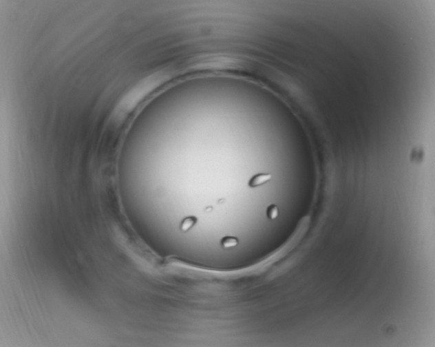 X0000114631073200910201415