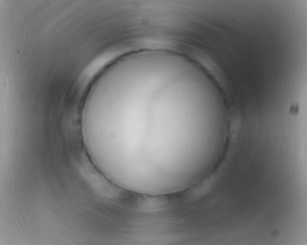 X0000114631074200910201415