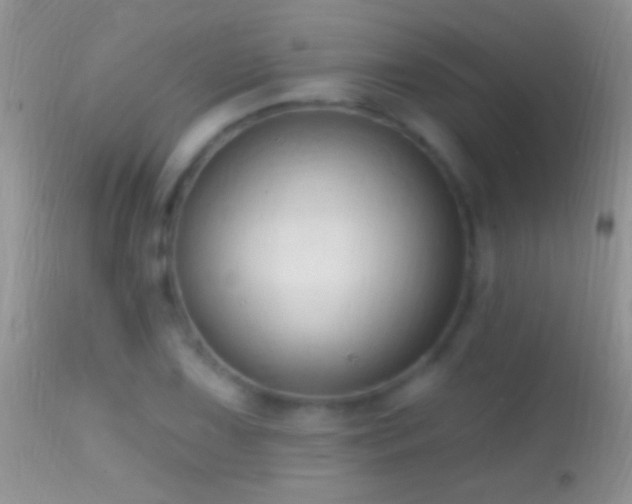 X0000114631075200910201415