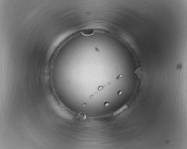 X0000114631076200910201415