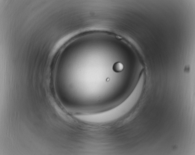 X0000114631077200910201415