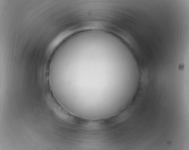 X0000114631078200910201414