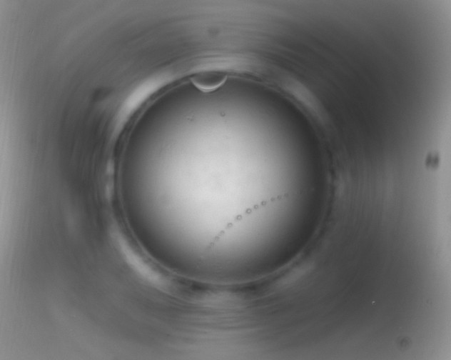 X0000114631079200910201414