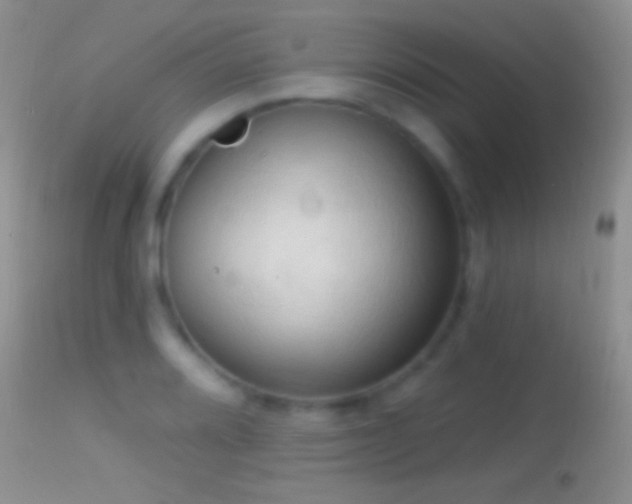 X0000114631080200910201414