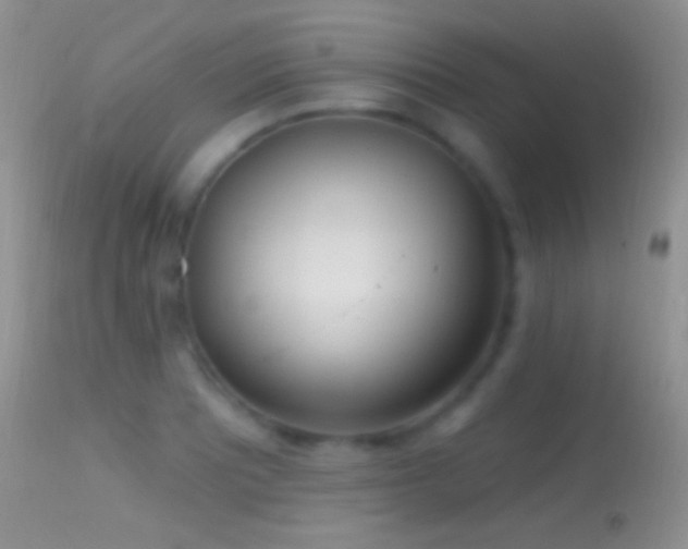 X0000114631081200910201414