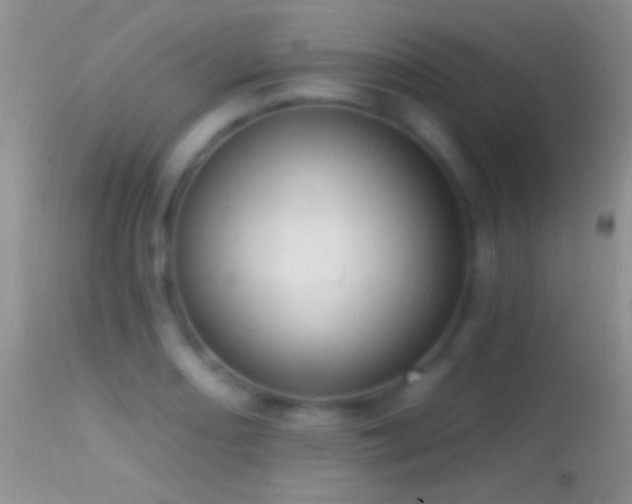 X0000114631082200910201414