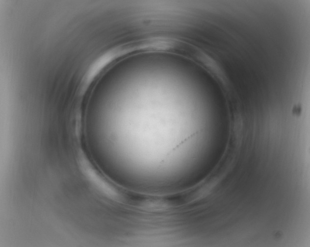 X0000114631083200910201414