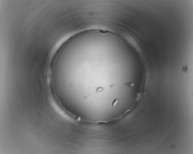 X0000114631084200910201414