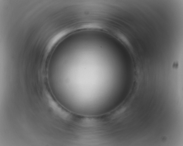 X0000114631087200910201414