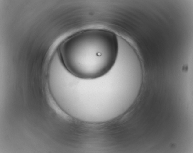 X0000114631088200910201414