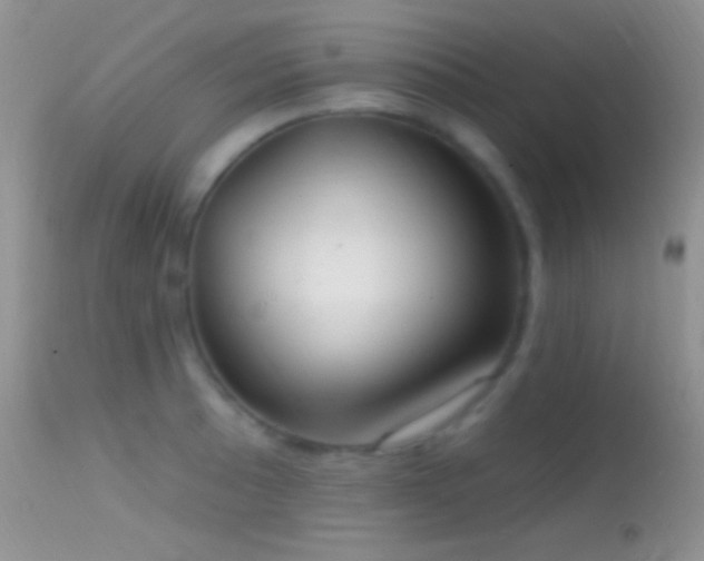 X0000114631089200910201414