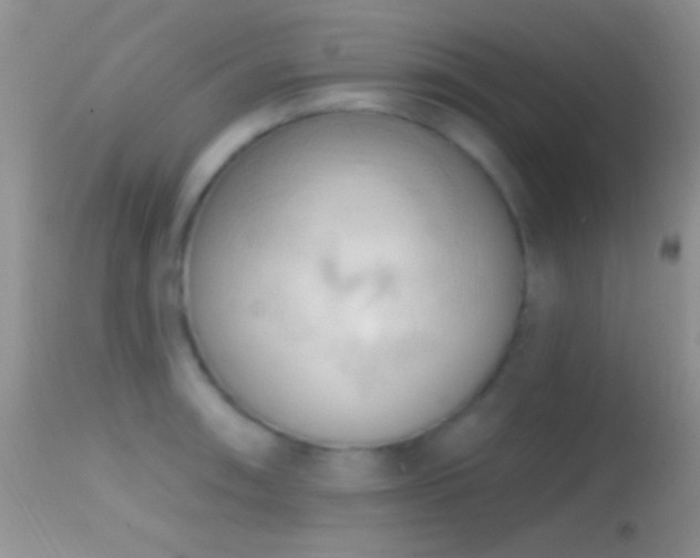 X0000114631090200910201414