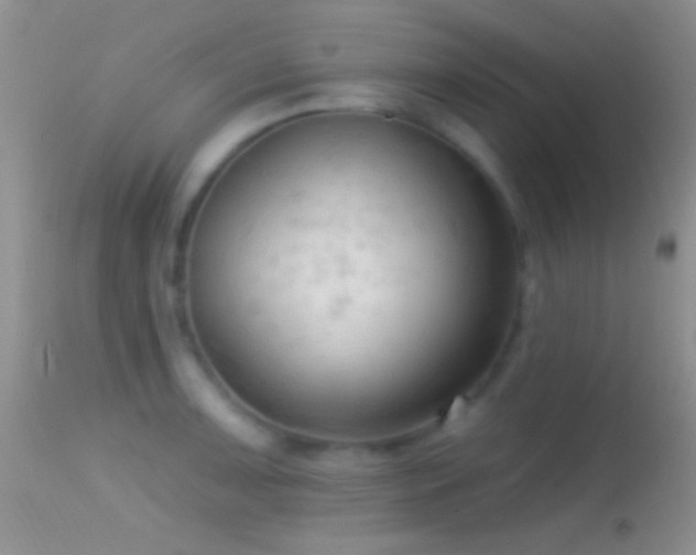 X0000114631091200910201414