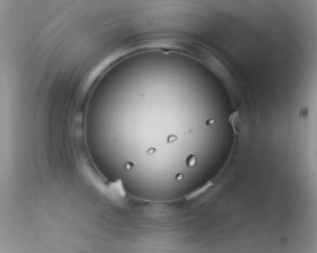 X0000114631092200910201414