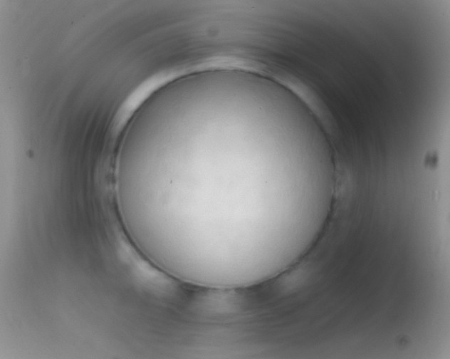 X0000114631094200910201414