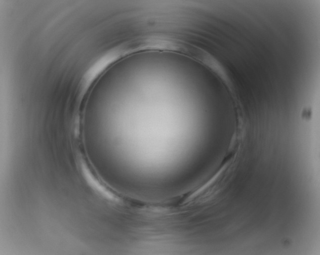 X0000114631095200910201414