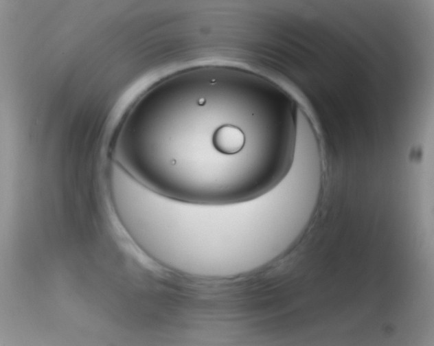 X0000114631096200910201414