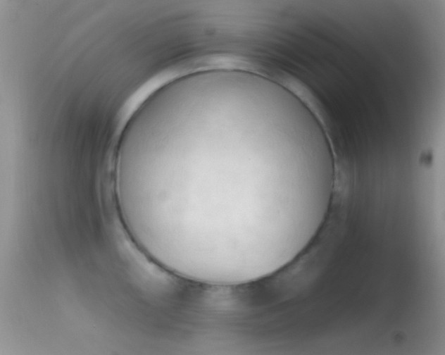 X0000114631098200910201414