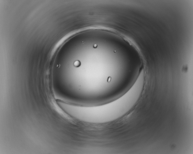 X0000114631100200910201414