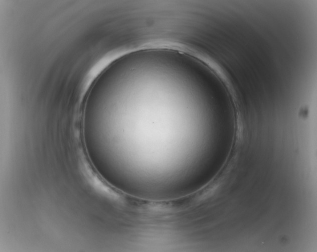 X0000114631102200910201414