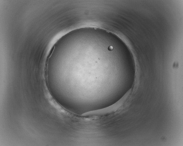 X0000114631104200910201414