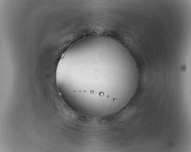 X0000114631105200910201413