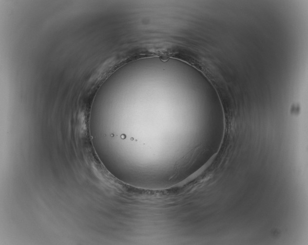 X0000114631106200910201413