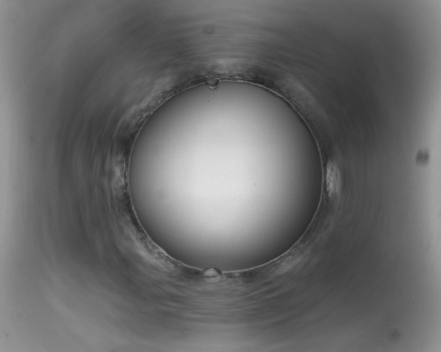 X0000114631107200910201414