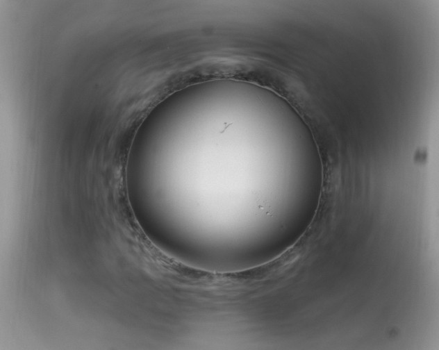 X0000114631109200910201414