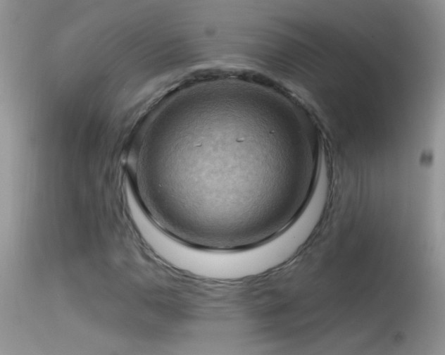 X0000114631110200910201414