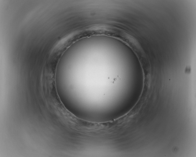 X0000114631111200910201414