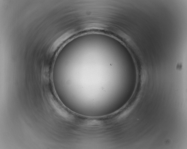 X0000114631113200910201414