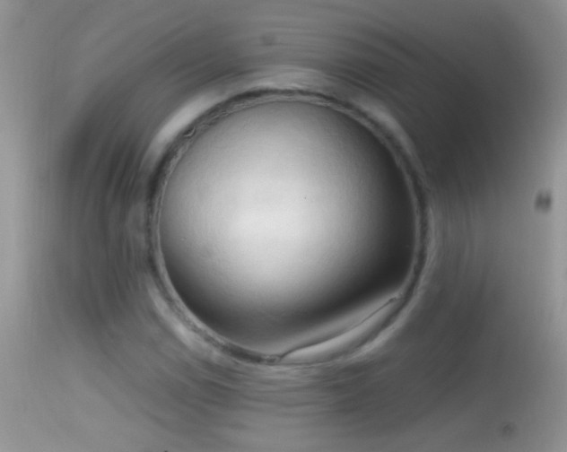 X0000114631114200910201414