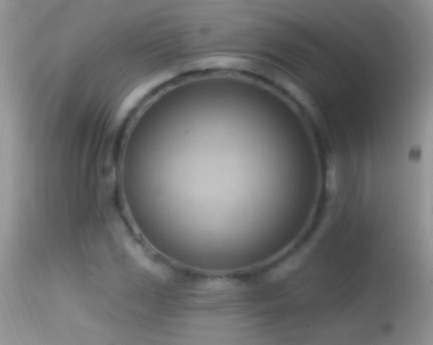 X0000114631117200910201414