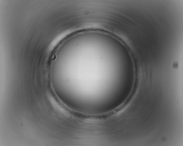 X0000114631118200910201414