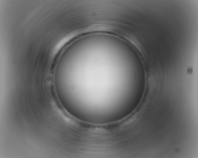 X0000114631119200910201414