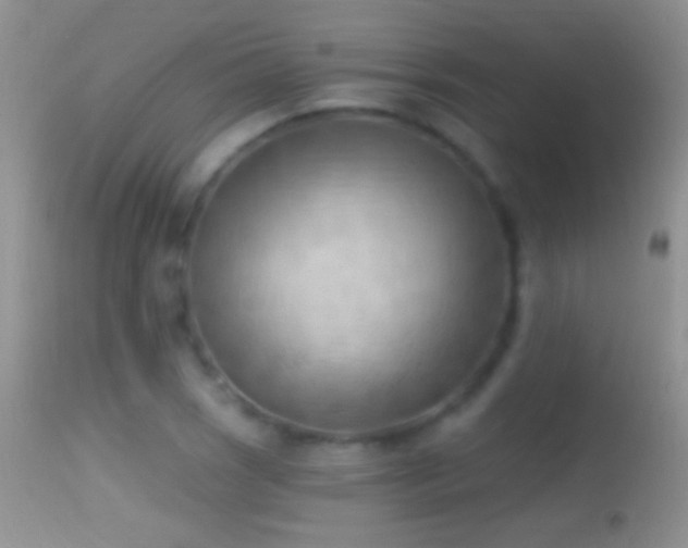 X0000114631121200910201414