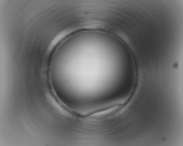 X0000114631122200910201414