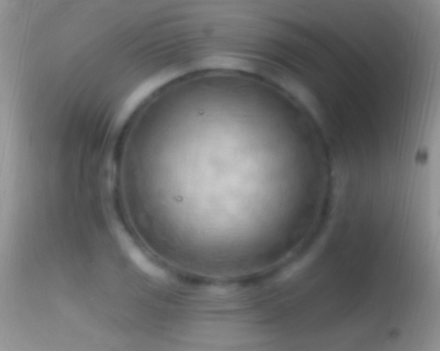 X0000114631125200910201414