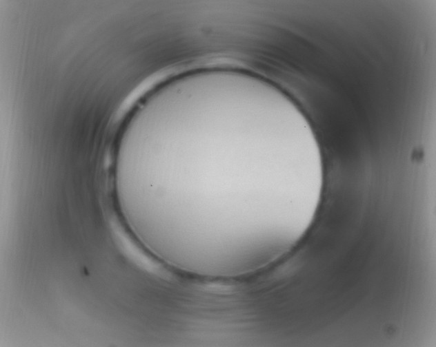 X0000114631126200910201414