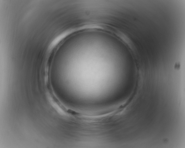 X0000114631127200910201414