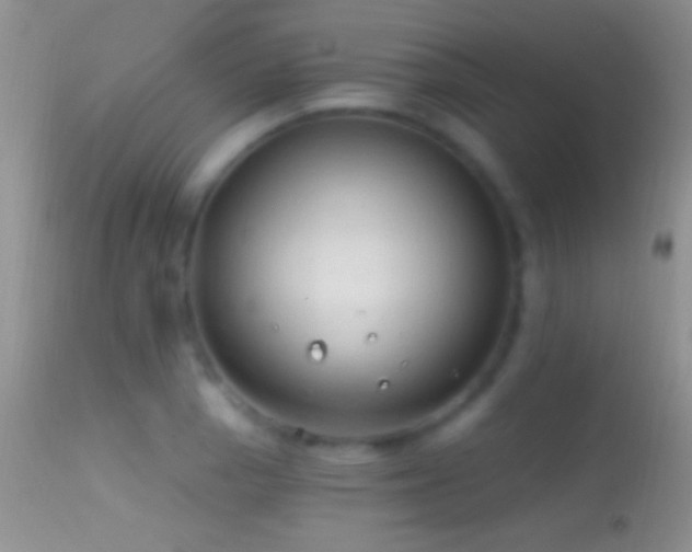 X0000114631129200910201414