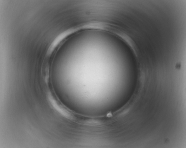 X0000114631131200910201414